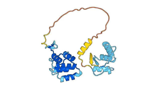 Recombinant Human TRADD, N-His