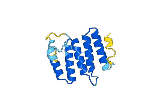 Recombinant Human TRAPPC9 Protein, N-His