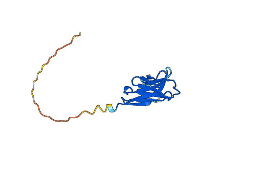 Recombinant Human TREM2 Protein, N-His-SUMO