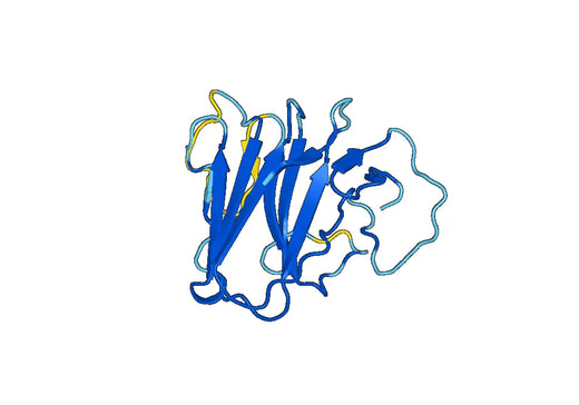 Recombinant Human TRIM11 Protein, N-His