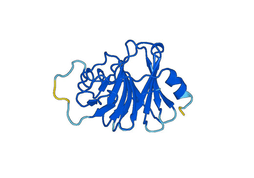 Recombinant Human TRIM14 Protein, N-His
