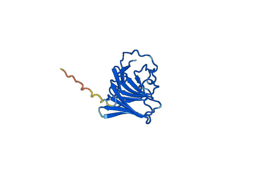 Recombinant Human TRIM16 Protein, N-His