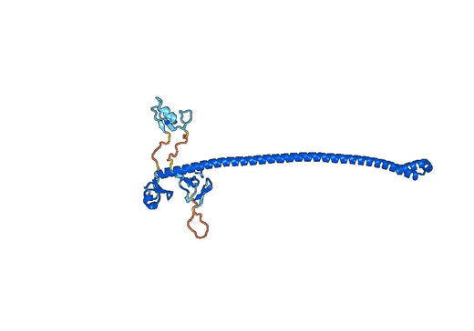 Recombinant Human TRIM28 Protein, N-His