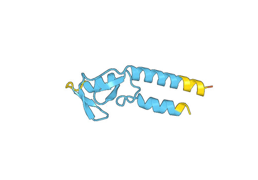 Recombinant Human TRIM31 Protein, N-His-SUMO & C-Strep