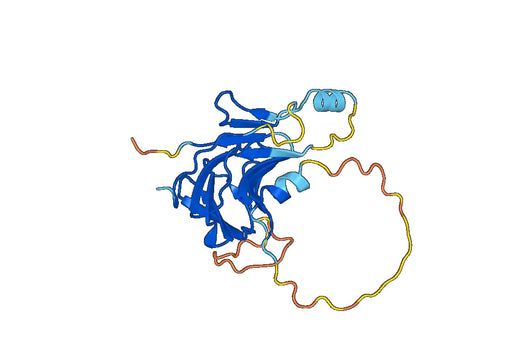 Recombinant Human TRIM46 Protein, N-His