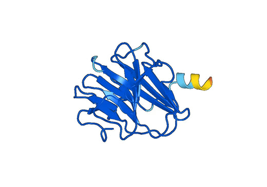 Recombinant Human TRIM9 Protein, N-His