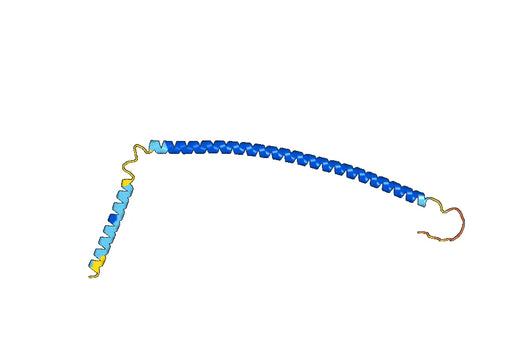 Recombinant Human TRIP11 Protein, N-His