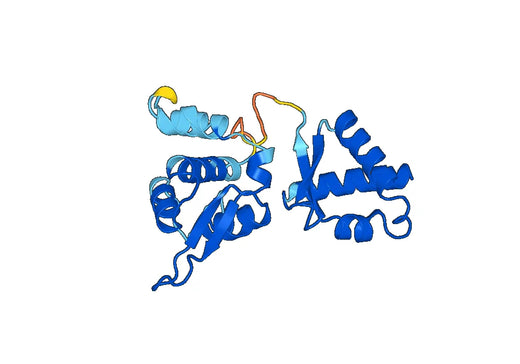 Recombinant Human TRO, N-His