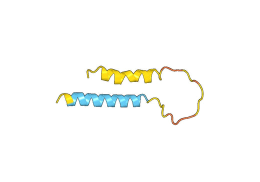 Recombinant Human TROAP Protein, N-His-SUMO