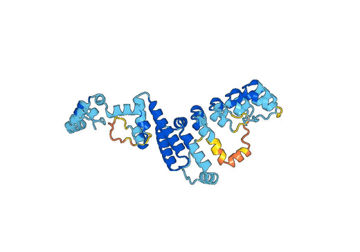 Recombinant Human TRPC1 Protein, N-His