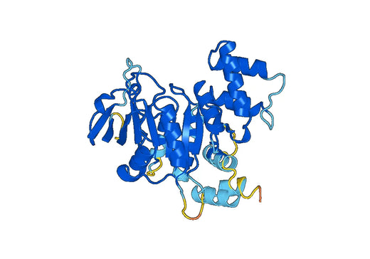 Recombinant Human TRPM7/LTRPC7 Protein, N-His