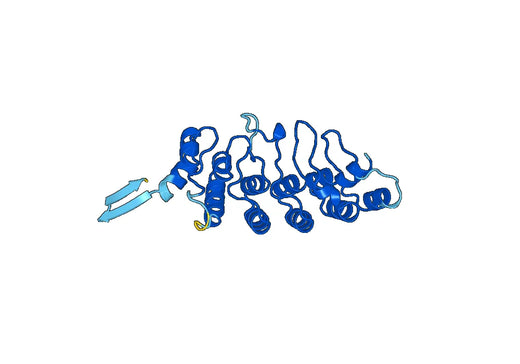 Recombinant Human TRPV6/ECaC2 Protein, N-His