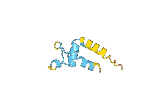 Recombinant Human TSPAN13 Protein, C-His