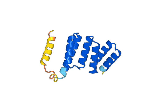 Recombinant Human TTC7A Protein, N-His