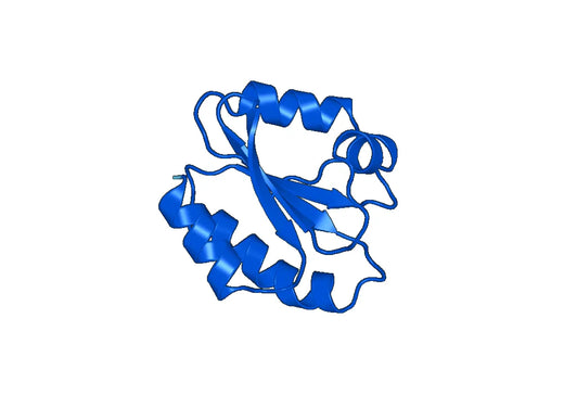 Recombinant Human TXN, N-His