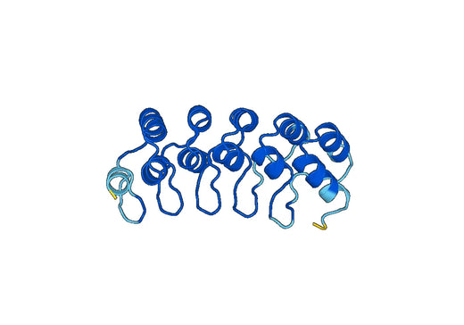 Recombinant Human UACA, N-His