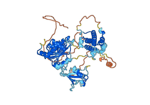 Recombinant Human UBA2/SAE2 Protein, N-His