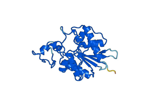 Recombinant Human UBASH3B Protein, N-His