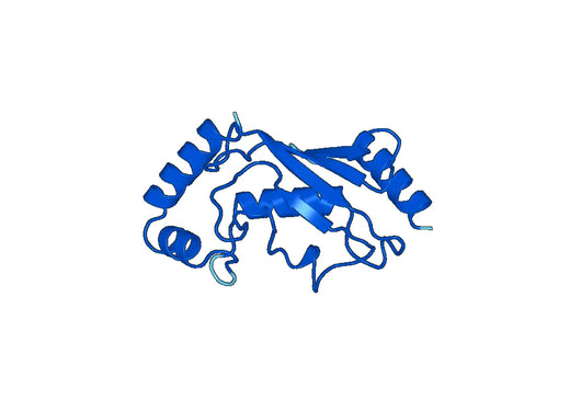 Recombinant Human UBE2D3 Protein, N-His