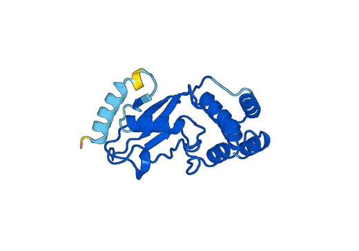 Recombinant Human UBE2K Protein, N-His