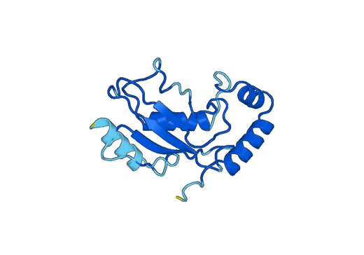 Recombinant Human UBE2L3, N-His