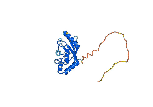 Recombinant Human UBE2S, N-His