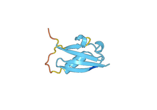 Recombinant Human UBXN1 Protein, N-His