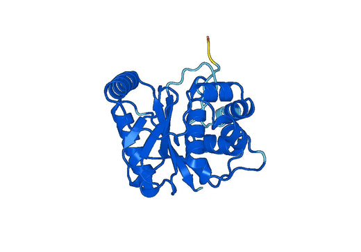 Recombinant Human UCHL3 Protein, N-His
