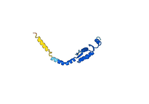 Recombinant Human UFL1 Protein, N-His