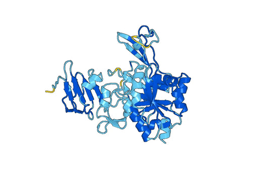 Recombinant Human UGP2 Protein, N-His