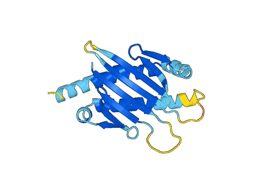 Recombinant Human ULBP1 Protein, N-His