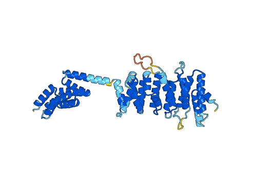 Recombinant Human UNC45A Protein, N-His