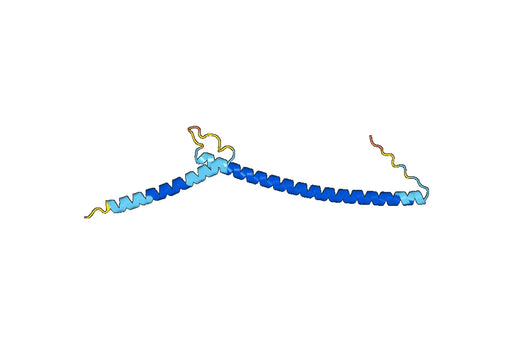 Recombinant Human USF1 Protein, N-His