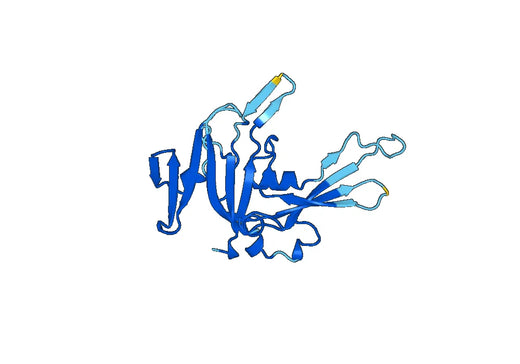 Recombinant Human USP10 Protein, N-His