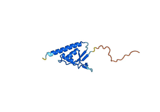 Recombinant Human USP20 Protein, N-His