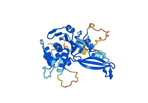 Recombinant Human USP22 Protein, N-His