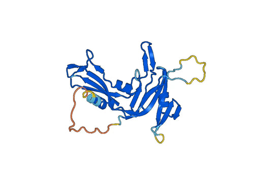 Recombinant Human USP24 Protein, N-His