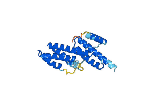 Recombinant Human USP25 Protein, N-His
