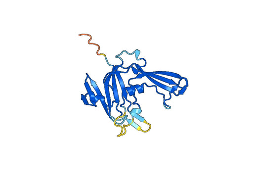 Recombinant Human USP3 Protein, N-His