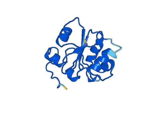 Recombinant Human USP8 Protein, N-His