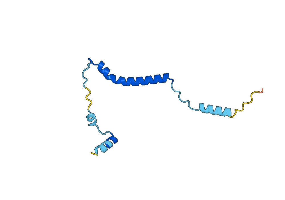 Recombinant Human UTP14A Protein, N-His