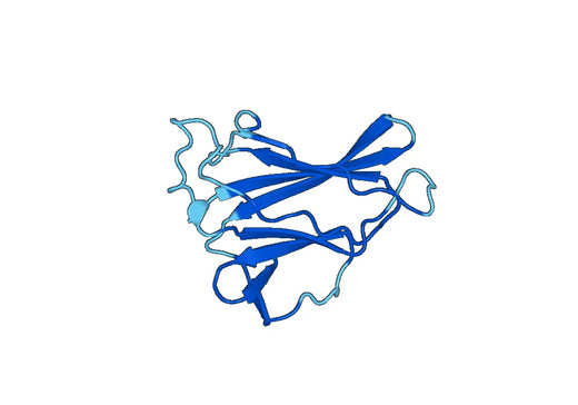 Recombinant Human UVRAG Protein, N-His