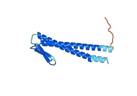 Recombinant Human UXT, N-His