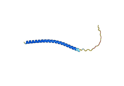 Recombinant Human VAMP1 Protein, N-His-SUMO