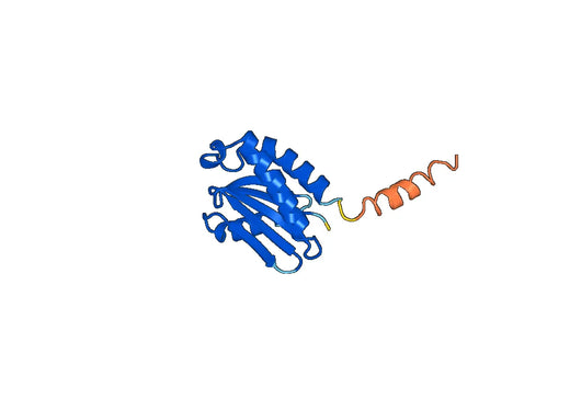 Recombinant Human VAMP7, N-His