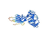 Recombinant Human VCAN, N-His