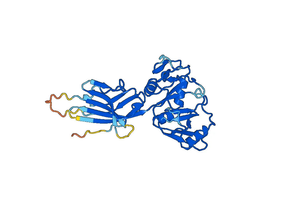 Recombinant Human VCAN, N-His