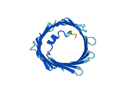 Recombinant Human VDAC3 Protein, N-His