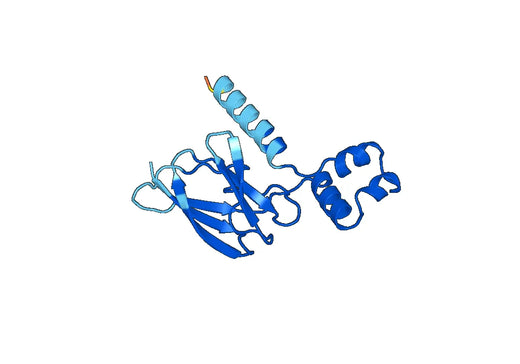 Recombinant Human VHL Protein, N-His