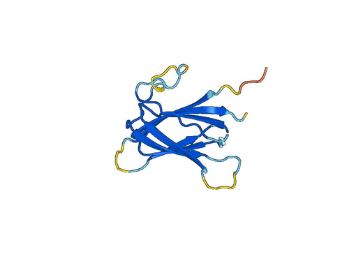 Recombinant Human VIRMA Protein, N-His